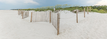 Sand Fencing at Burkes Beach